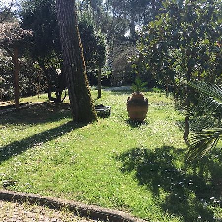 Old Town in the green: Federico's apartment. Florence Buitenkant foto