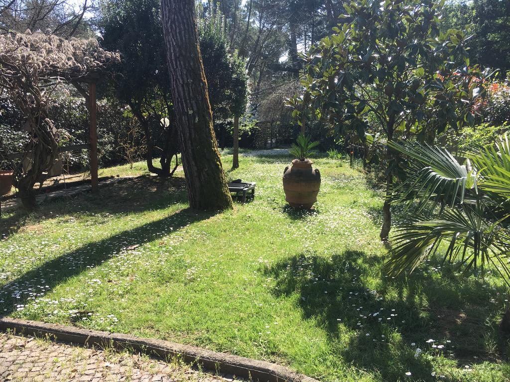 Old Town in the green: Federico's apartment. Florence Buitenkant foto