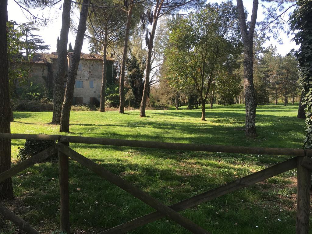 Old Town in the green: Federico's apartment. Florence Buitenkant foto
